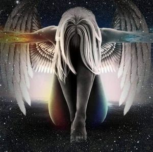 Meet your Posher, Laura suzie